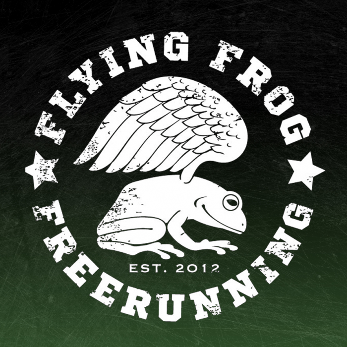 Flying Frog Academy Logo and Branding